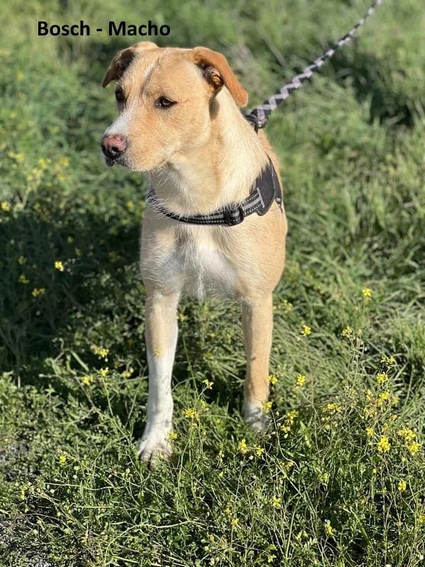 PETIFYC10908 photo 3