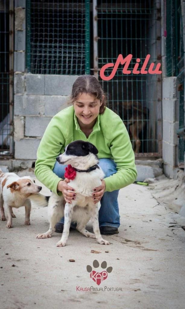 PETIFYC11002 photo 6