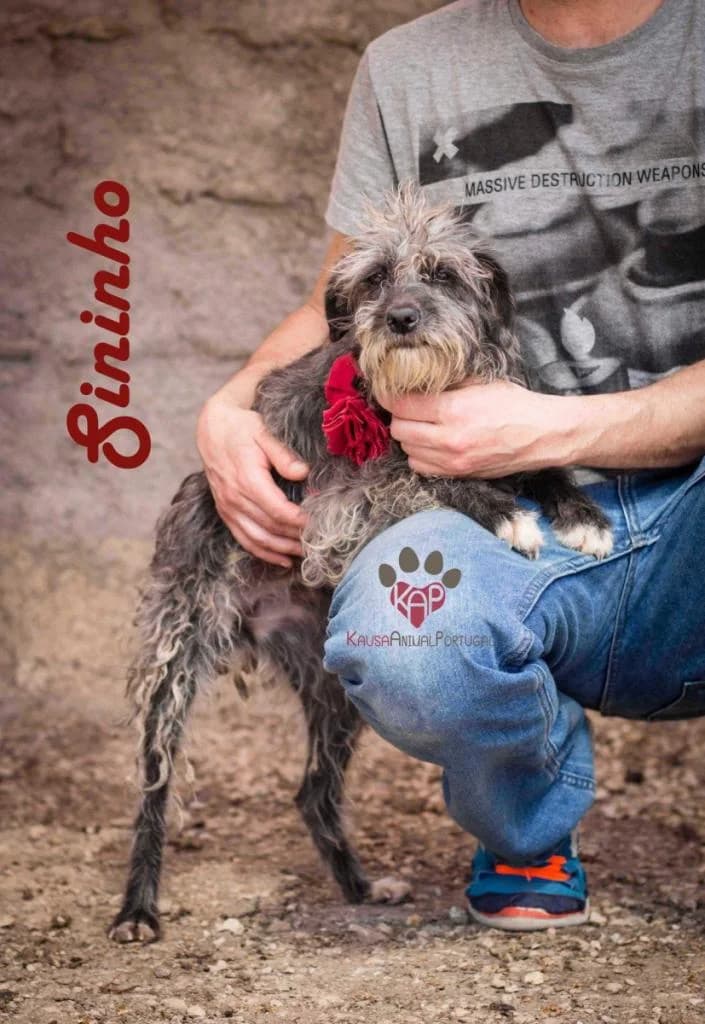 PETIFYC11062 photo 6