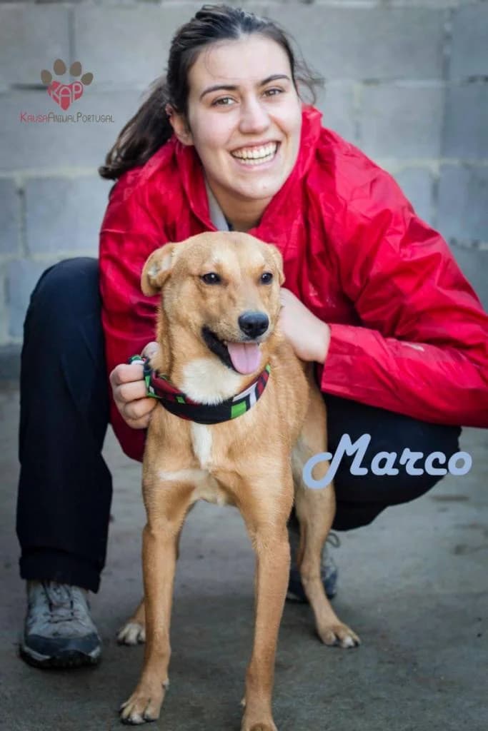 PETIFYC11078 photo 5