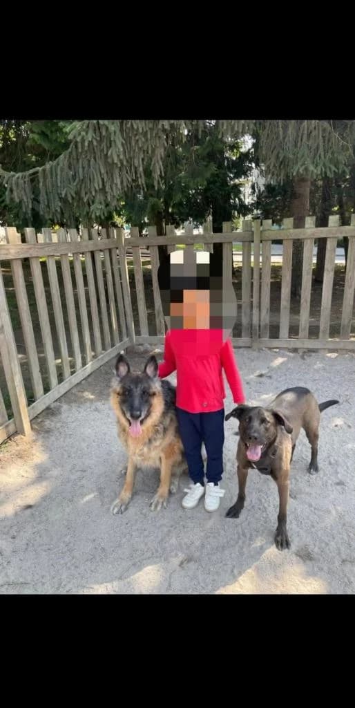 PETIFYC11113 photo 5