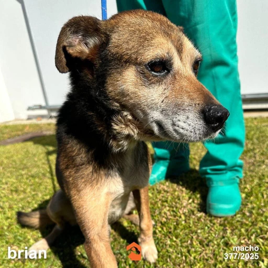 PETIFYC11177 photo 7