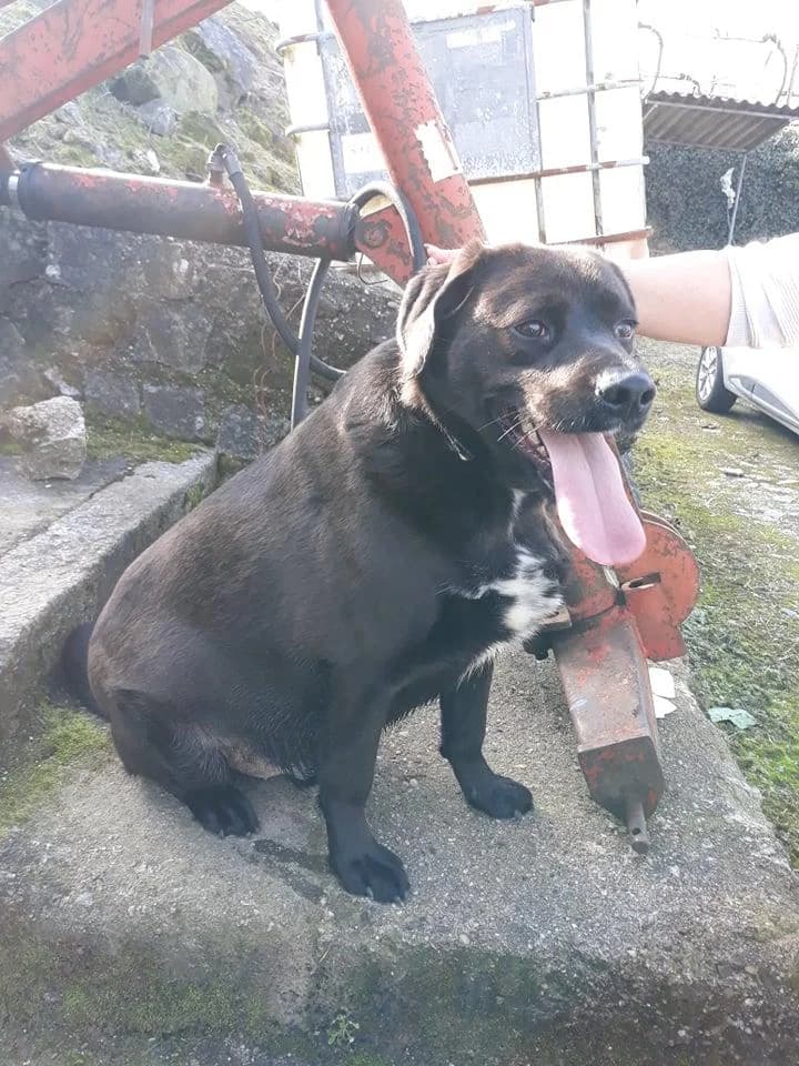 PETIFYC11182 photo 7