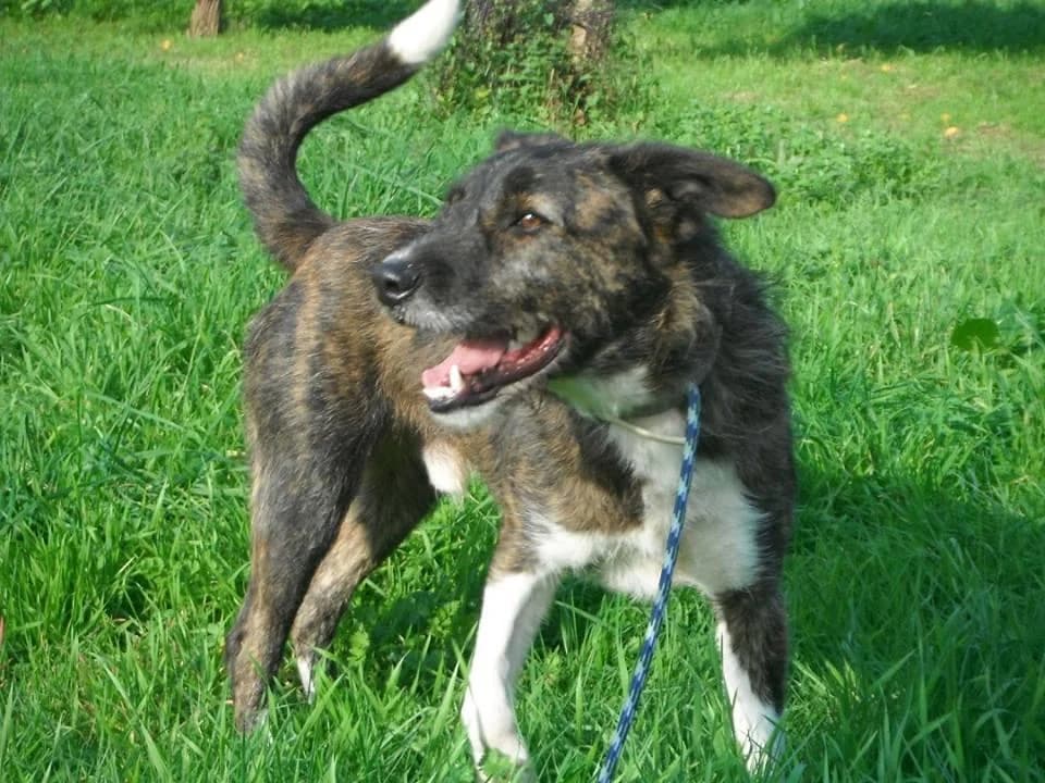 PETIFYC11217 photo 5