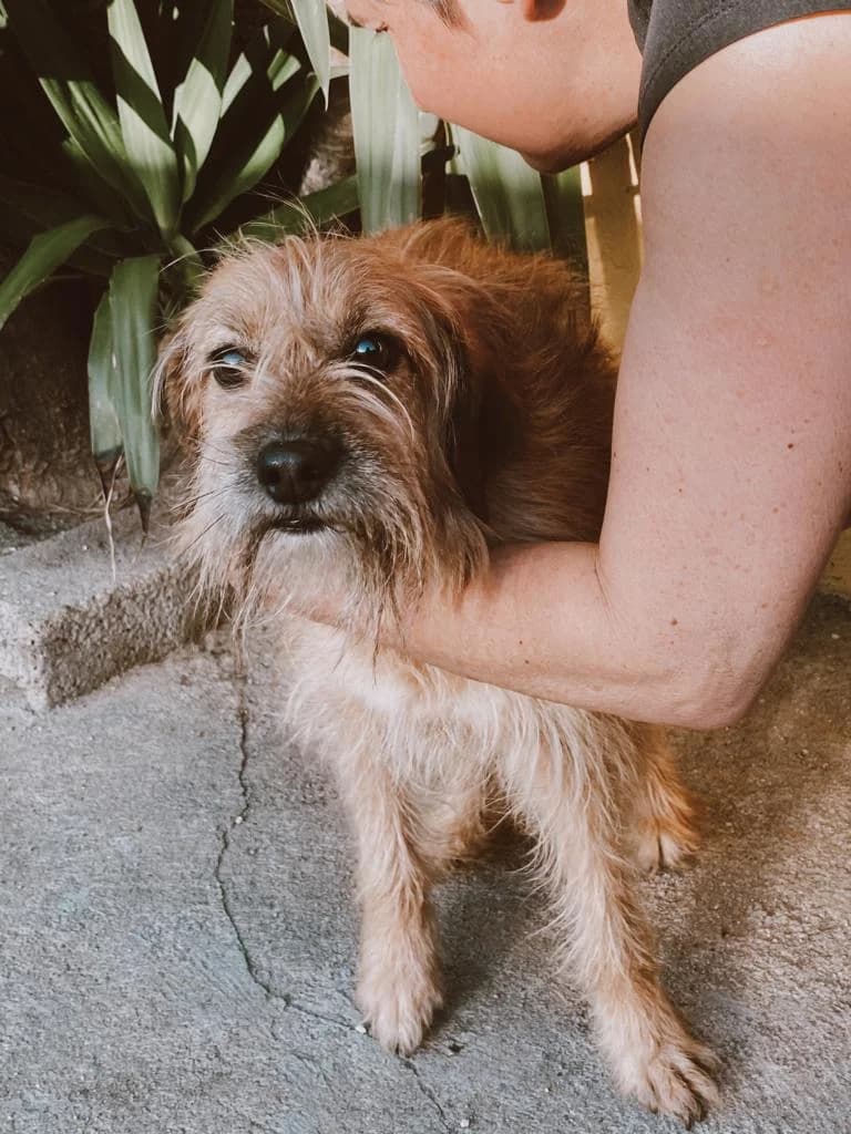 PETIFYC10721 photo 5