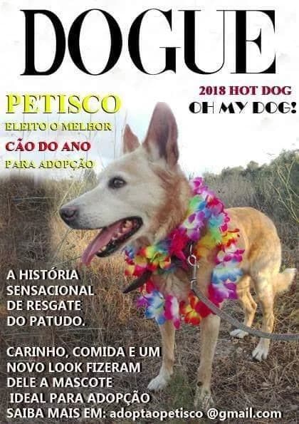 PETIFYC11097 photo 7