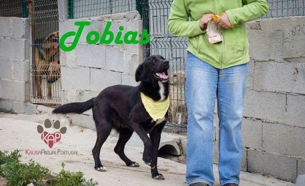 PETIFYC11164 photo 6