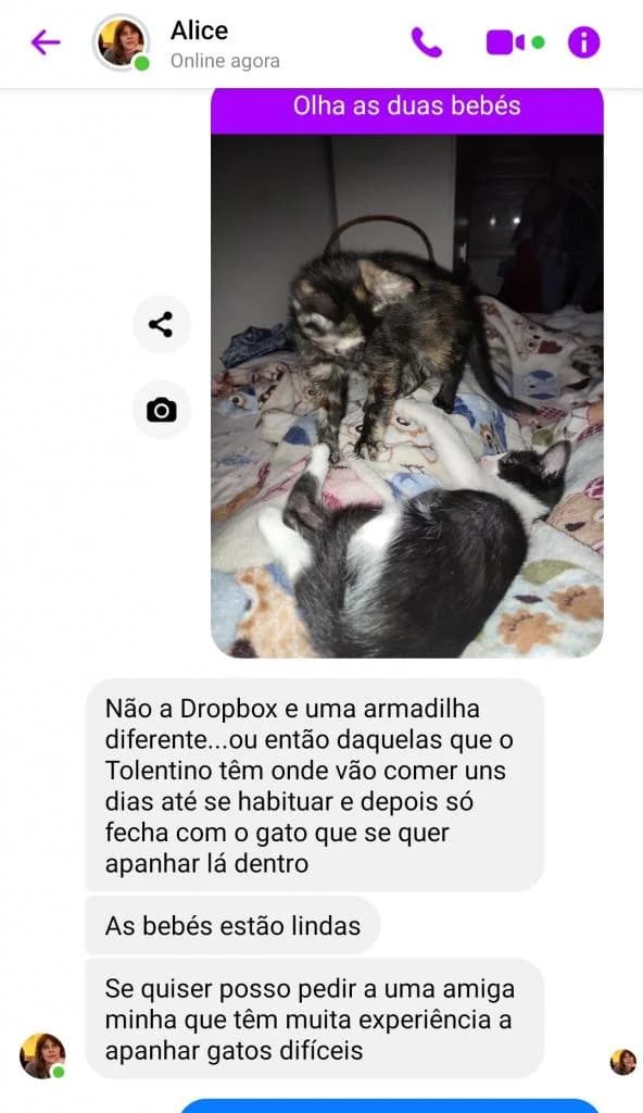 PETIFYG10998 photo 7