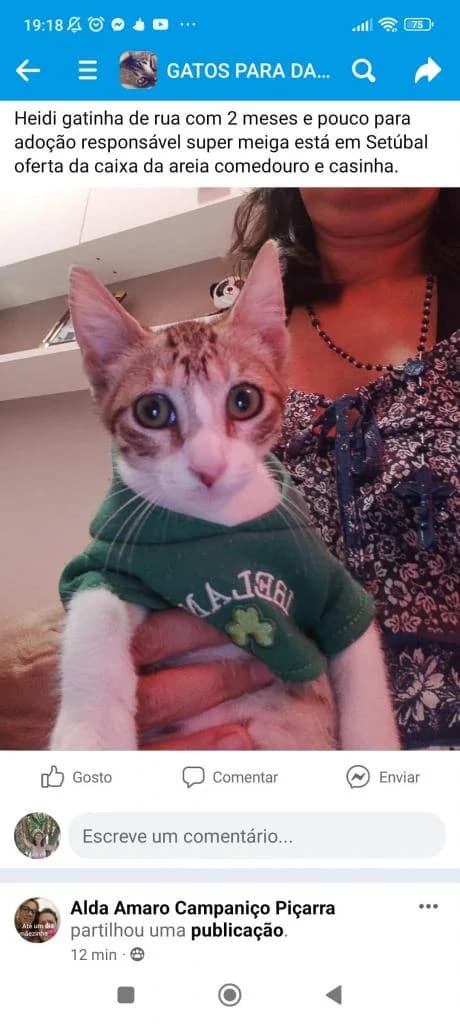 PETIFYG11287 photo 5